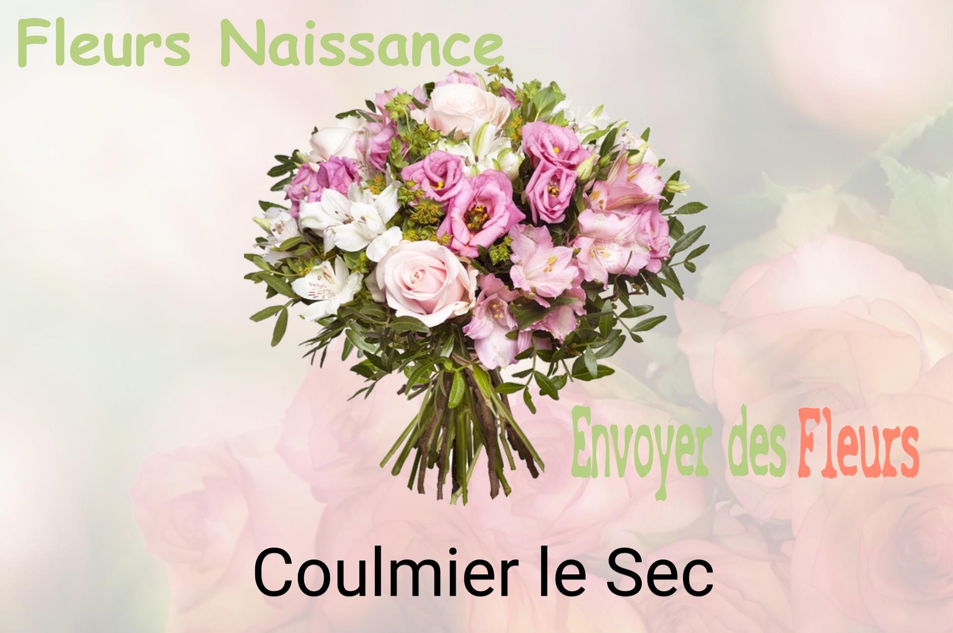 Bouquet de fleurs de naissance livré à Coulmier-le-Sec
